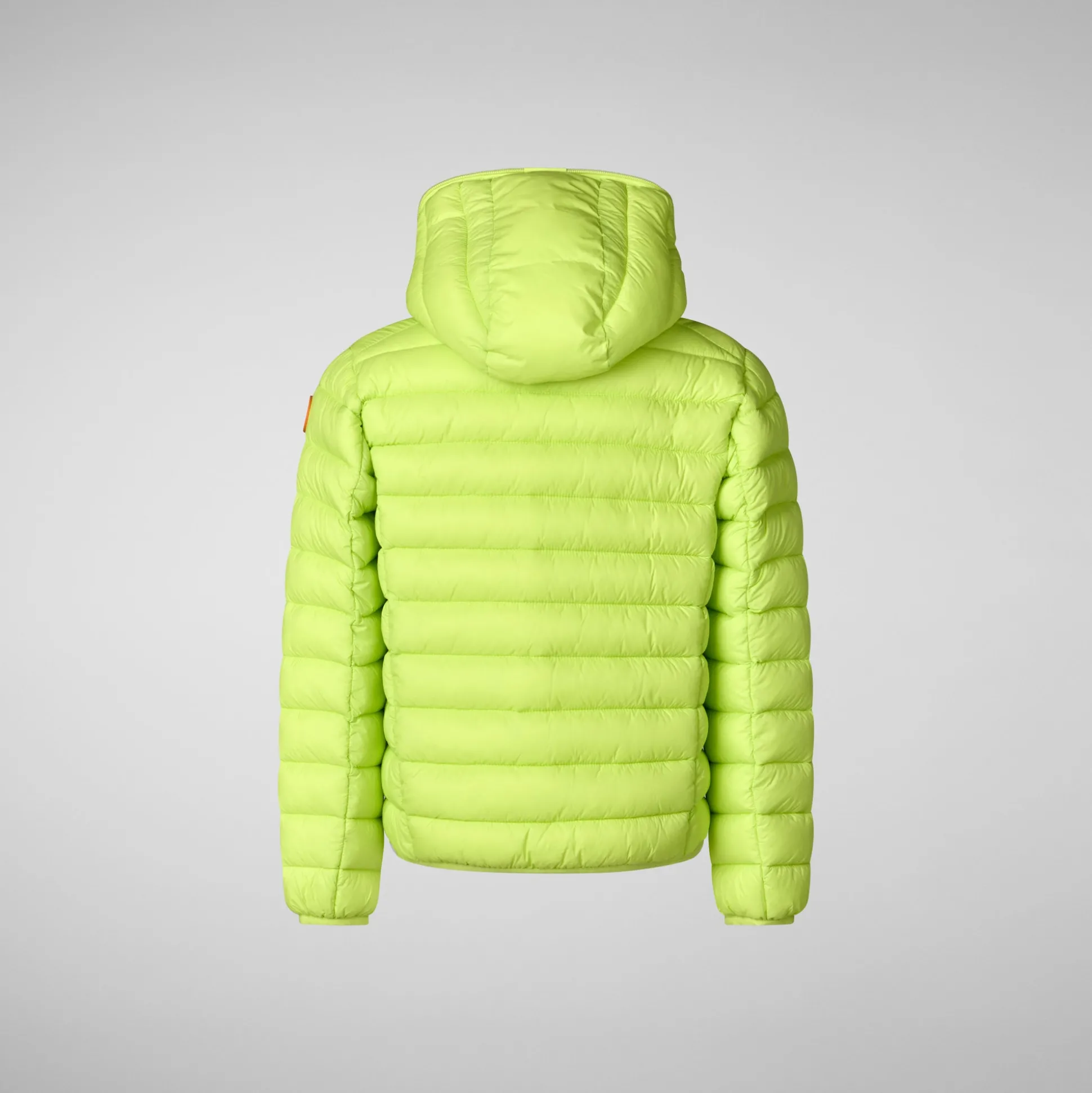 Boys' Hooded Animal free Puffer Jacket Dony in lichen green