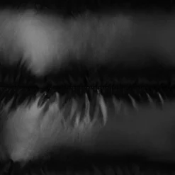 Girls' animal free puffer jacket Jaci in black