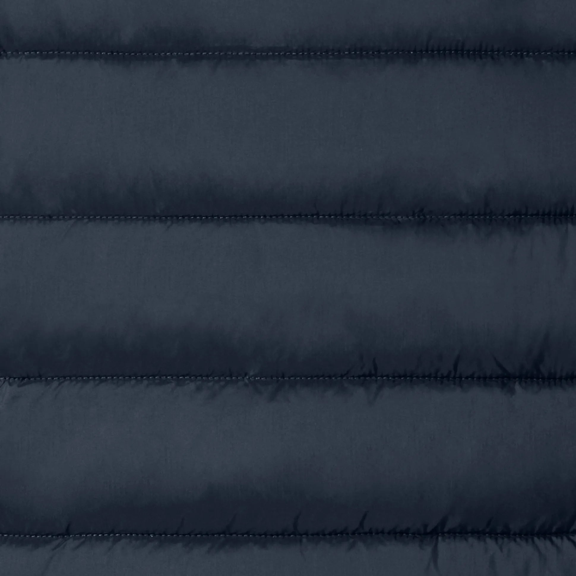 Men's animal free hooded Animal free Puffer jacket Hector in blue black