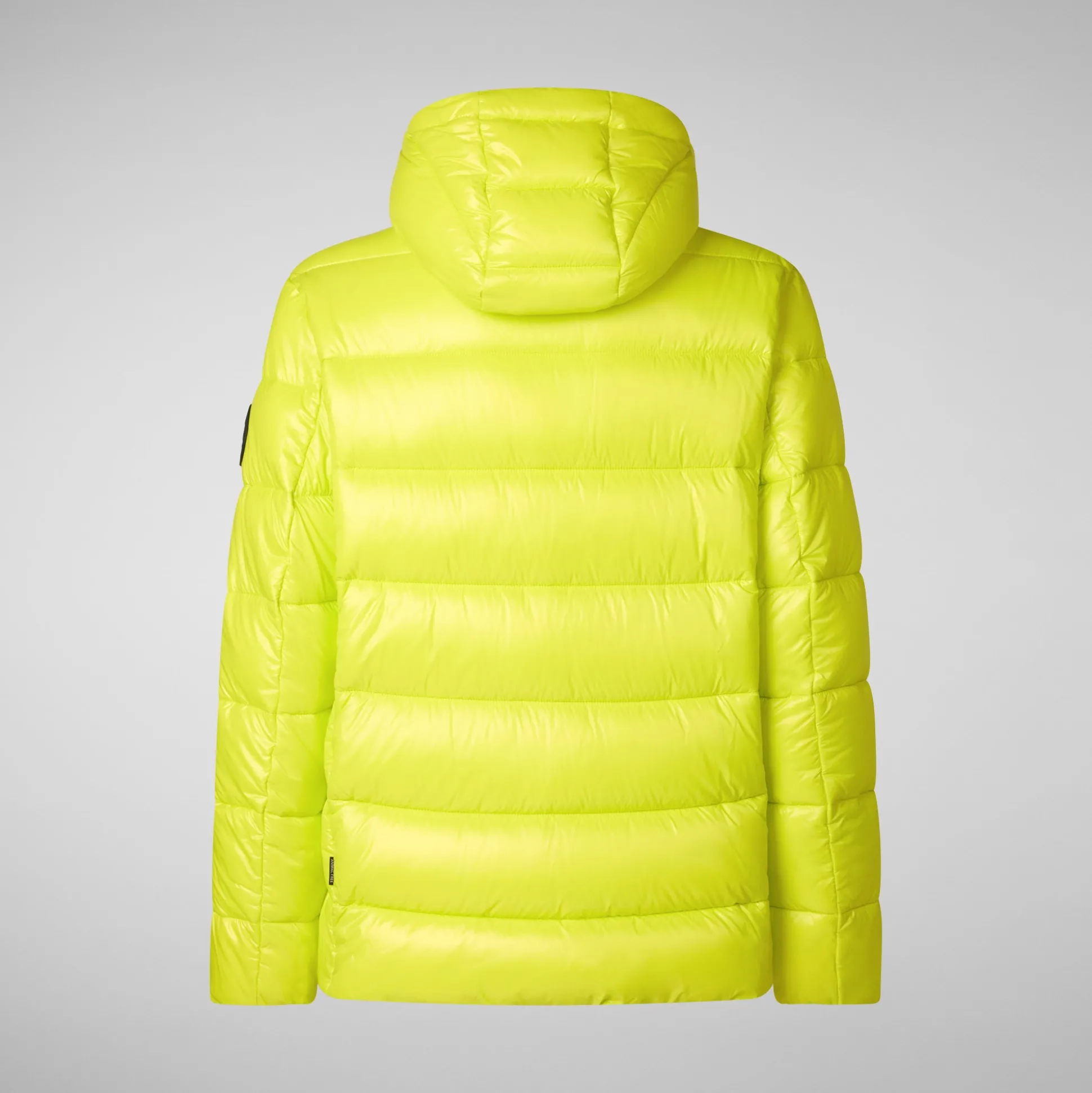 Men's animal free Puffer jacket maxime in lichen green