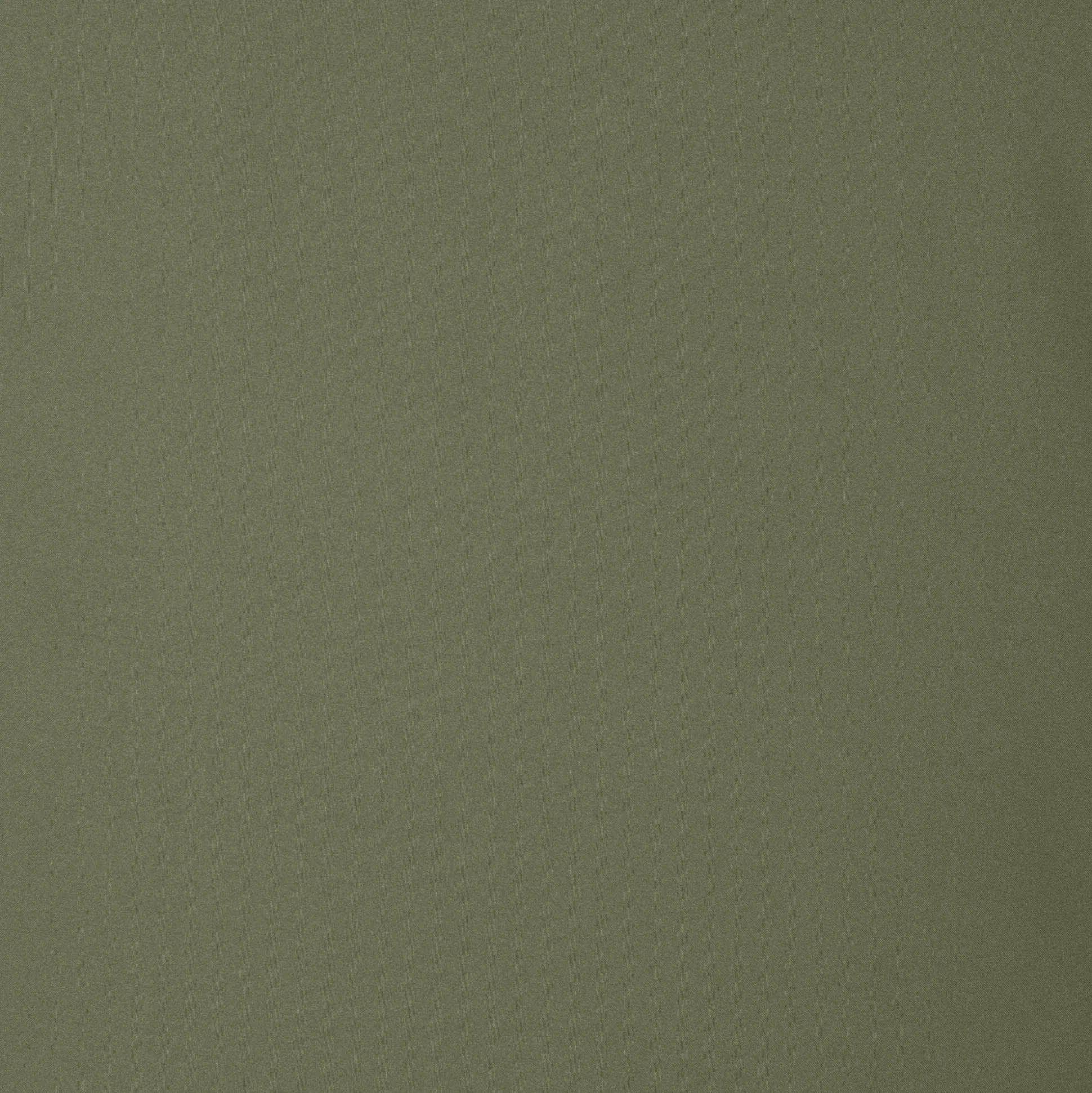 Men's coat Roderick in laurel green