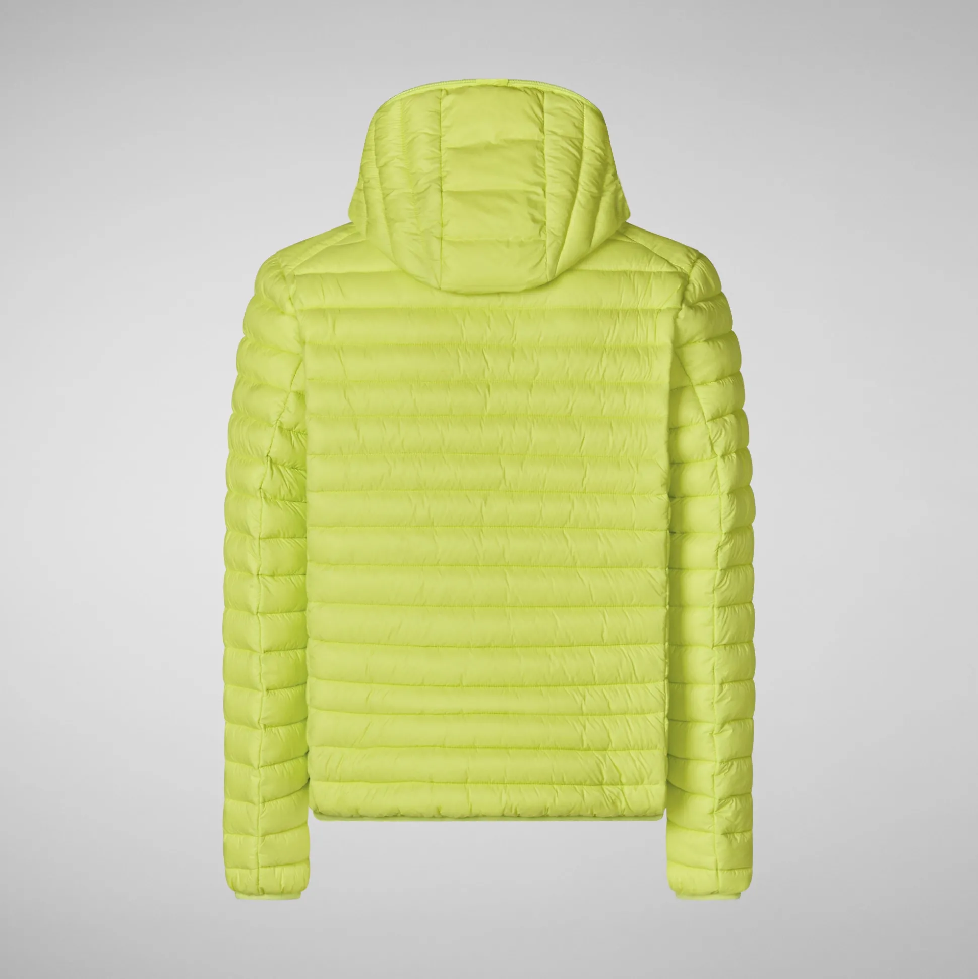 Men's Hooded Animal free Puffer Jacket Donald in Lichen Green