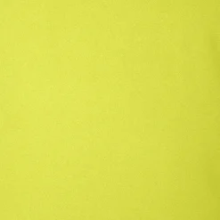 Men's hooded parka Hiram in lichen green