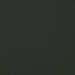 Men's jacket Riker in land green