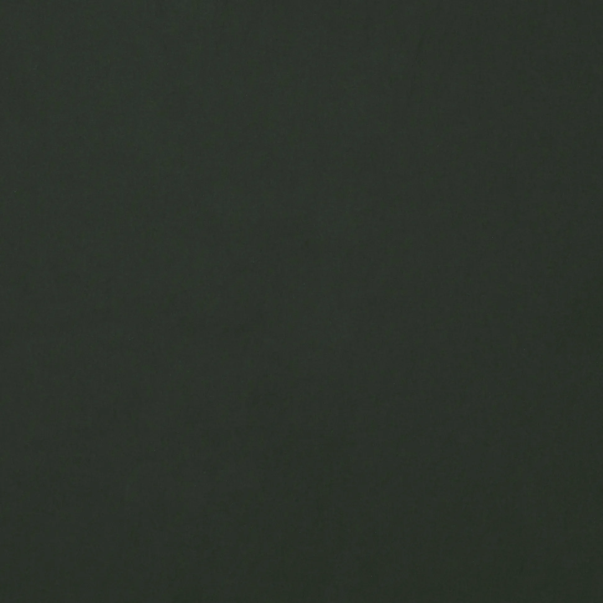 Men's jacket Riker in land green