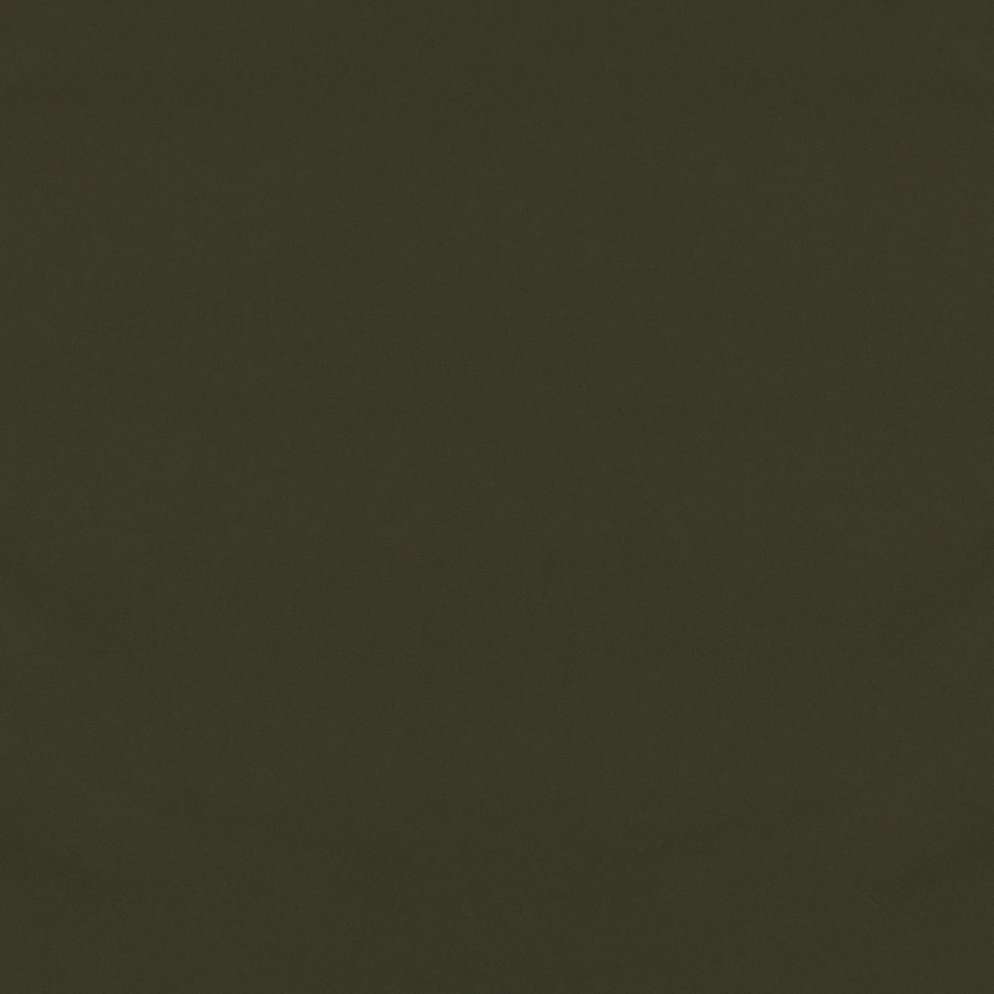 Men's jacket trenton in land green