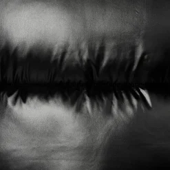 Women's Animal free Puffer Jacket Moma in Black