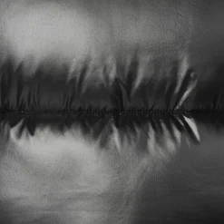 Women's Hooded Animal free Puffer Jacket Biddy in Black