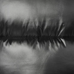 Women's Hooded Animal free Puffer Vest Iria in Black