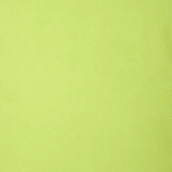 Women's hooded parka nellie in lichen green