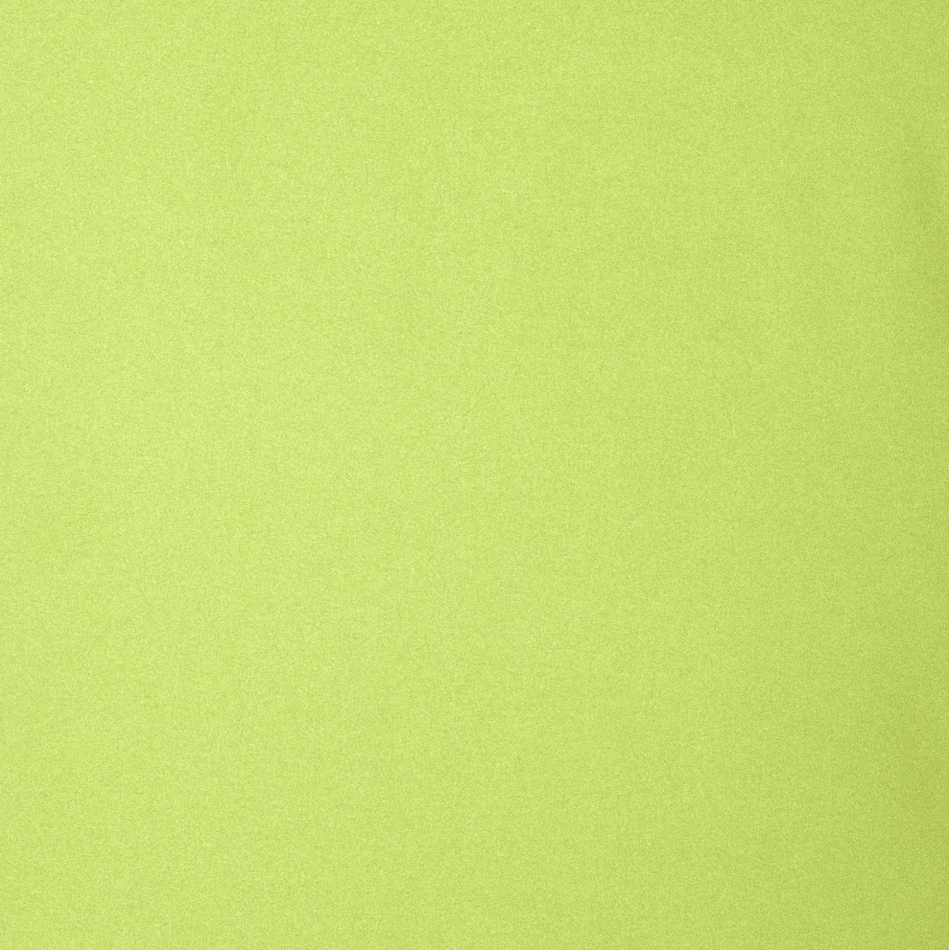 Women's hooded parka nellie in lichen green