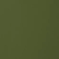 Women's jacket Aveline in MOSS GREEN